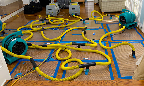 Professional Basement Flood Cleanup technician working in Tigerton, WI